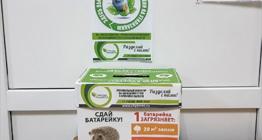 В школах Брянска в апреле пройдёт акция «Сдай батарейку — спаси ёжика Брянщины»