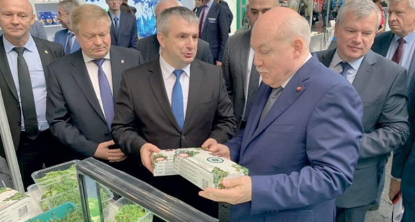 Брянская зелень появится на прилавках белорусских торговых сетей