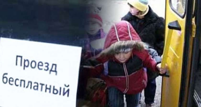 В Брянской области на бесплатный проезд многодетных семей направили 33 млн. рублей