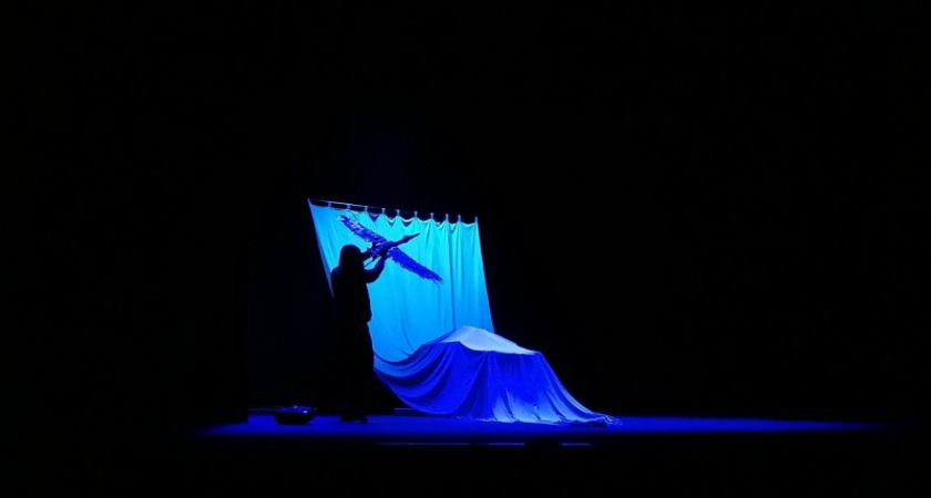 Спектакль Брянского театра кукол признан лауреатом фестиваля «Патриот» в Краснодаре