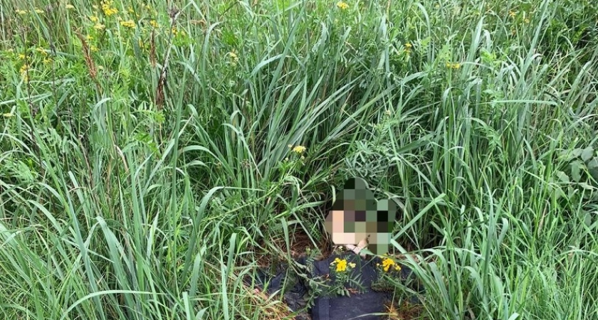 Тело мужчины, погибшего около месяца назад, найдено рядом с жилым микрорайоном в Брянске