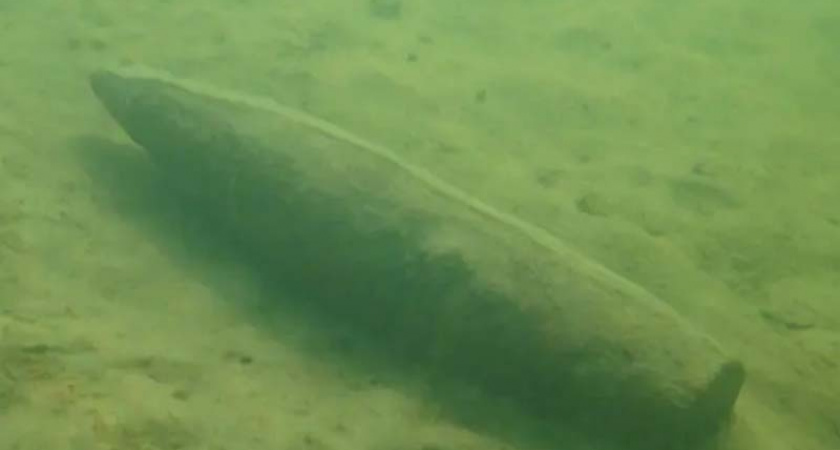 Брянские водолазы под Жуковкой достали из Десны неразорвавшийся снаряд