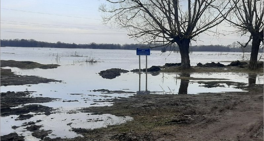 Река Болва в Брянске поднялась выше поймы больше, чем на метр