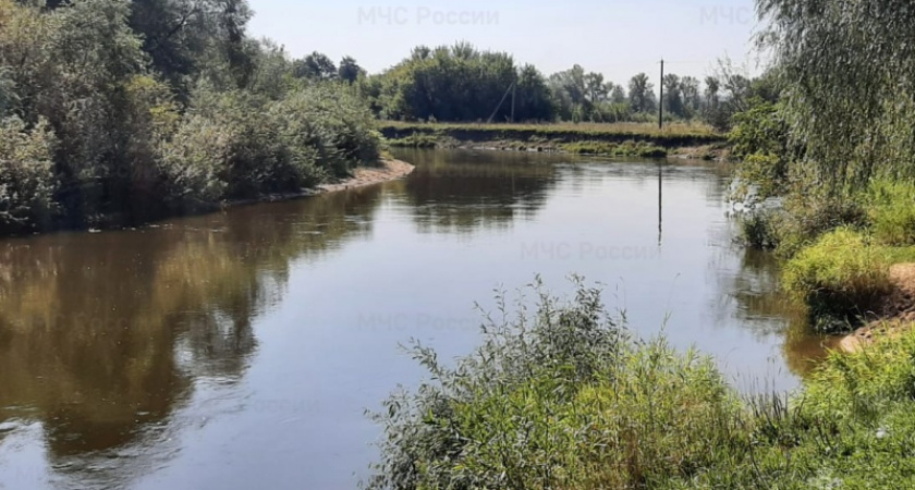 Брянские спасатели подняли из Болвы десятого утонувшего за лето