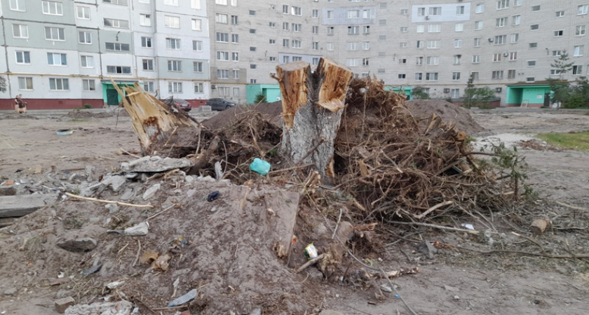 Деревья из вырубленных бежицких дворов сжигаются на окраине Брянска