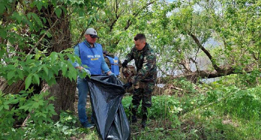Стартовала акция «Чистый берег»: брянским волонтёрам предложено присоединяться