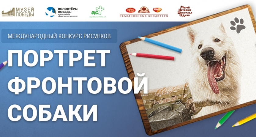 Брянских художников всех возрастов пригласили нарисовать «Портрет фронтовой собаки»
