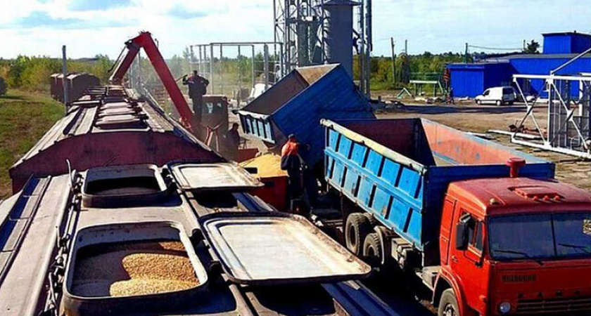 Главными «зерновыми» брянскими станциями в МЖД назвали Комаричи и Навлю