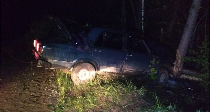 Пьяный водитель в Погарском районе заехал в дерево. Он и пассажир отделались разбитыми головами