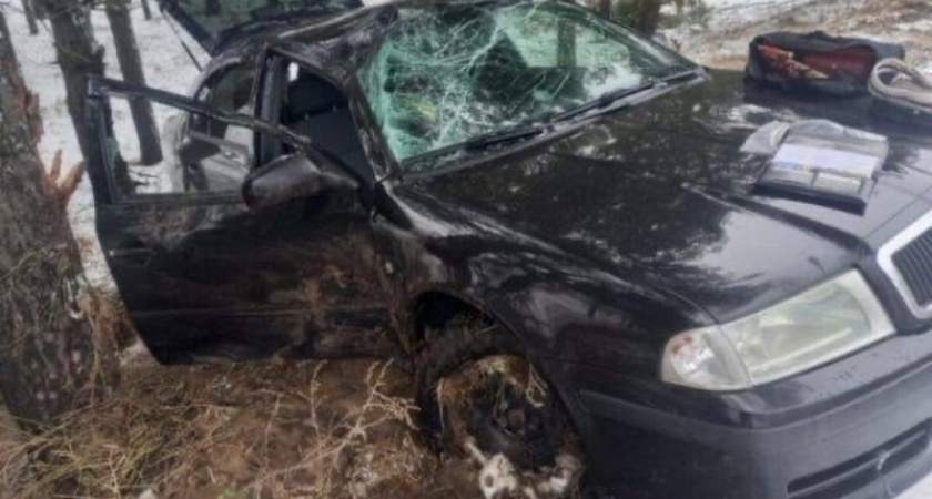 На местной дороге под Новозыбковом легковое авто улетело в дерево
