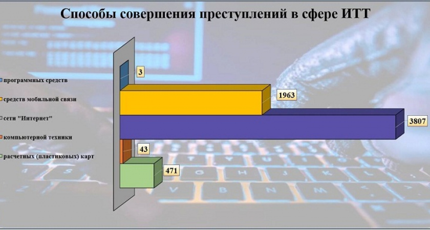 Криминальная статистика: больше половины брянских киберпреступлений в 2024 году пришлось на кибермошенничества
