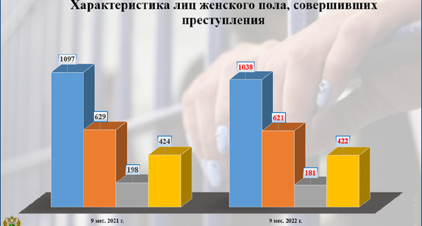 Треть брянских женщин-преступниц имеет возраст от 30 до 40 лет, четверть — от 40 до 50 лет