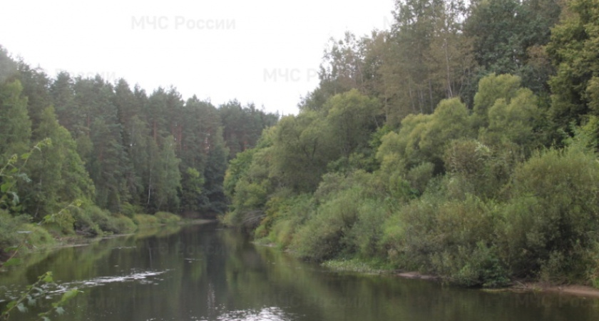 В Жуковке утонул молодой мужчина