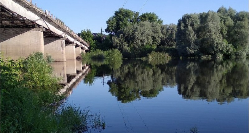 На Десне отмечается абсолютный рекорд летнего подъёма воды за 13 лет