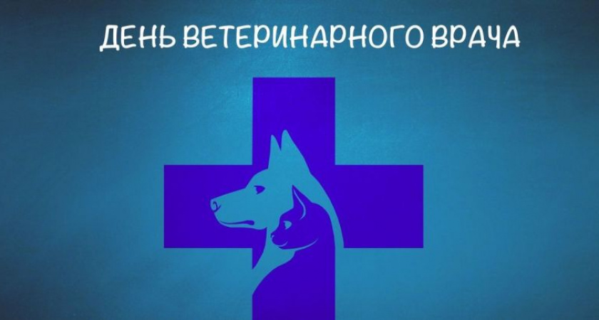 В России 31 августа отмечается свой собственный День ветеринара. Православный