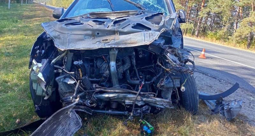 На брянской трассе под Выгоничами «обочечника» вынесло на «встречку», два человека травмированы