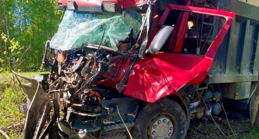 В ГИБДД рассказали о состоянии водителя большегруза, уехавшего в дерево под Суражом