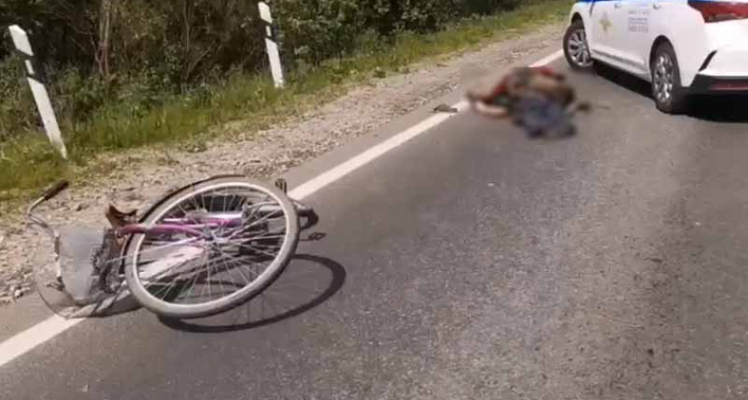 В Брянском районе большегруз снёс «резкого» 72-летнего велосипедиста. Насмерть