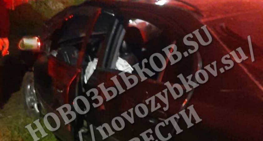 Ночные «покатушки» под Новозыбковом закончились «встречей» с деревом, пострадали девушки-пассажирки