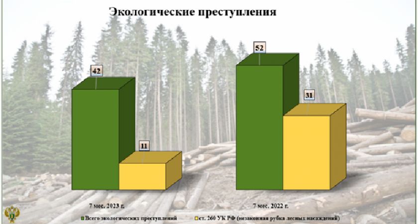 Ущерб от экопреступлений в Брянской области за год вырос втрое - прокуратура