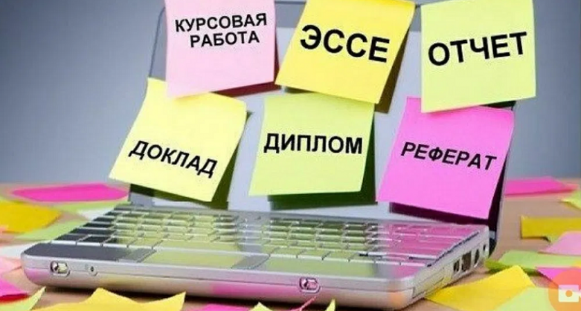 Эссе на заказ – как найти надежного партнёра для успеха в учёбе