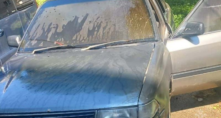 В Брянске на улице Дуки выгорел автомобиль