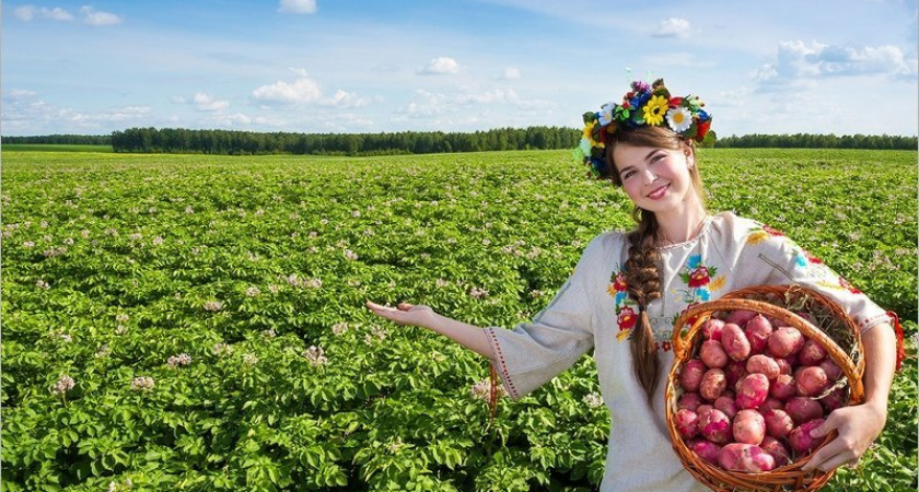 Минсельхоз подтвердил онлайн-характер "Всероссийского дня поля-2020"