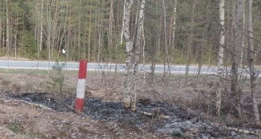 Под Брянском выгорело 0,3 га территории военного лесничества