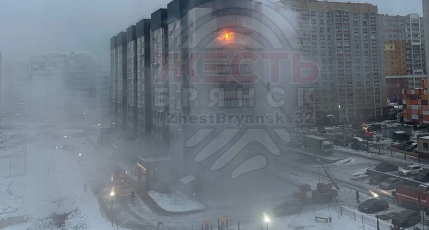 Пожар в Брянске: внешний эффект оказался страшнее реальности