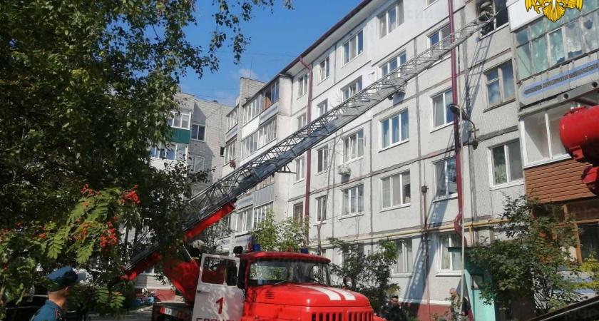 При пожаре в брянской многоэтажке спасли одного и эвакуировали троих человек