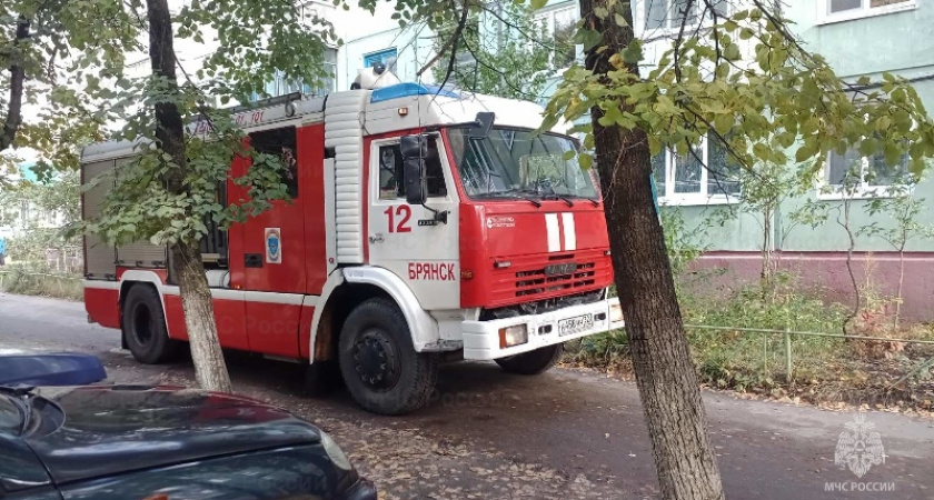 Пожар в бежицкой панельной пятиэтажке: выгорела квартира, есть жертва