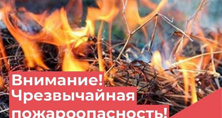 Чрезвычайная пожароопасность: в Брянске установлен самый высокий — пятый класс пожарной опасности