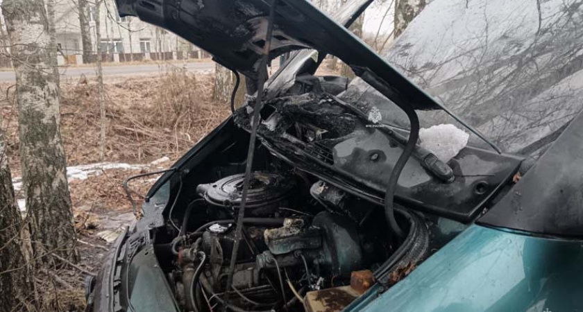 В Злынке пожарные потушили грузовой автомобиль