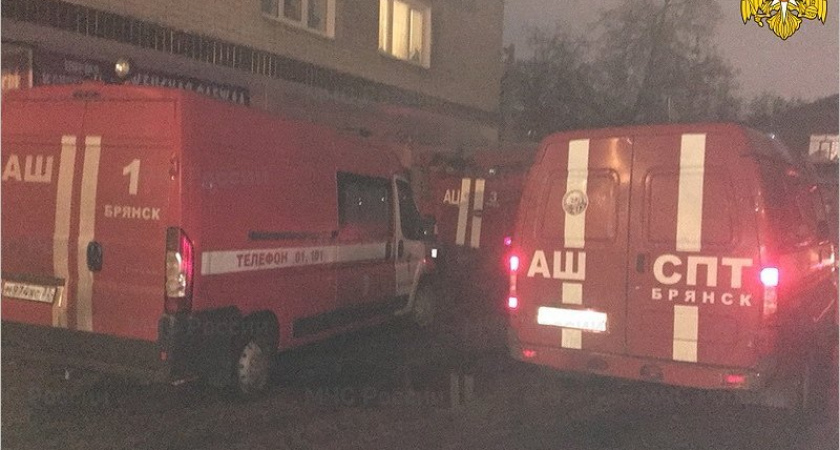 Пожар на улице Шолохова в Брянске: самостоятельно и принудительно эвакуированы более 30 человек