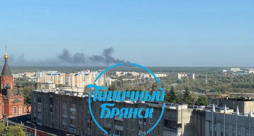 Пожар на окраине Брянска: горела стихийная свалка у станции Чернец