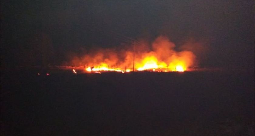 Травяной пал грозил перекинуться на заповедник «Брянский лес»