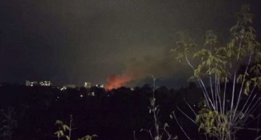 Пожар в Брянске: горела трава и старые дачи в овраге Верхний Судок