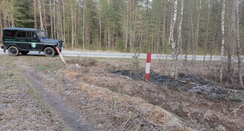 Лесной пожар площадью полтора гектара потушен под Клетнёй