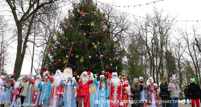 Деды Морозы открыли в Брянске главную городскую ёлку