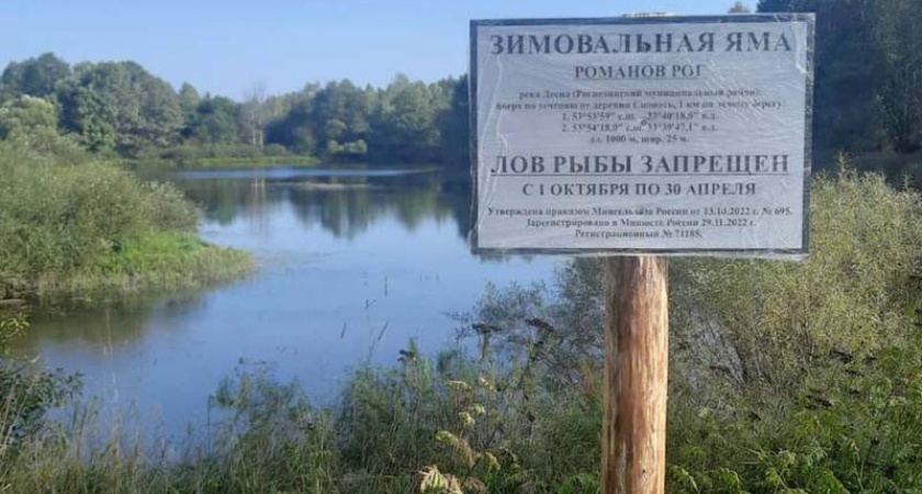Брянским рыбакам напомнили о запретных сроках ловли и «ценах» на рыбу для браконьеров