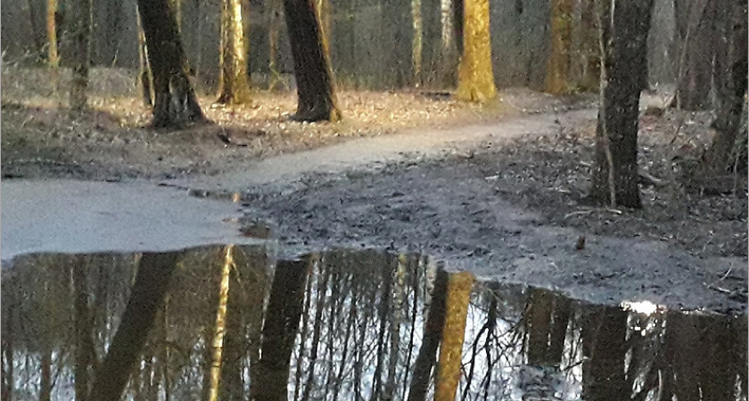 Половодье в черте Брянска завершено, вода уходит «ударными» темпами