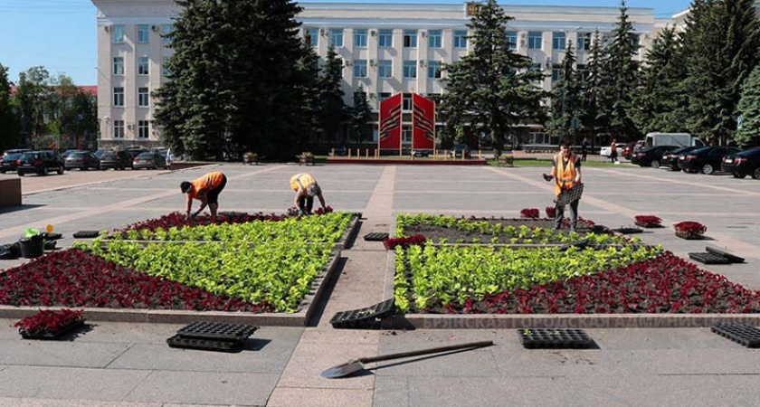 Брянская команда стала бронзовым призёром Кубка России по фотофиксации растений