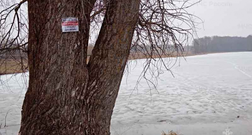 В Фокино под Брянском в местном озере утонул мужчина