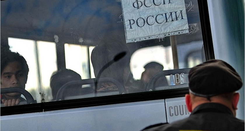 Из Брянской области за год выдворили больше 120 нелегальных мигрантов