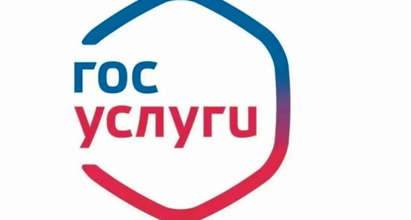 Во всех регионах России будет запущена цифровая платформа «Госуслуги. Решаем вместе» - Чернышенко