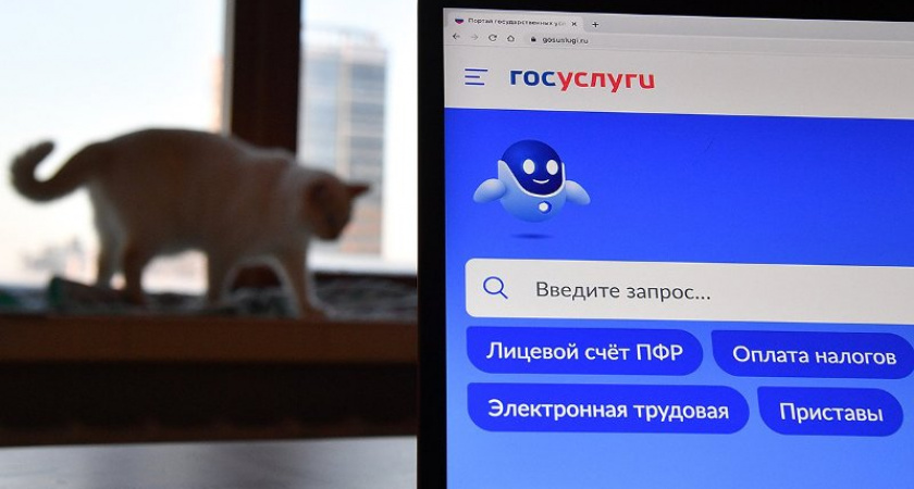Первое место среди мобильных приложений в России у Госуслуг - TelecomDaily