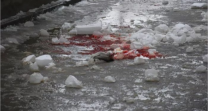 Глыба льда упала на голову пожилому прохожему в центре Брянска. Мужчина в больнице