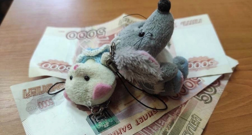 Две жительницы Брянска получили более двух миллионов на несуществующих детей