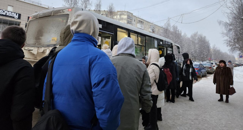 «Хватит на 3-4 месяца». Пожилым дадут это помимо пенсии в мае