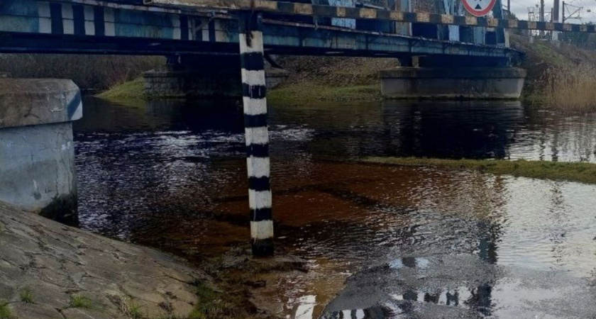 В Брянской области затопило ещё два участка — в приграничной Белой Березке
